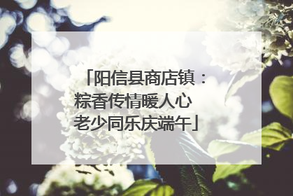 阳信县商店镇：粽香传情暖人心 老少同乐庆端午