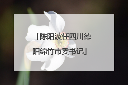 陈阳波任四川德阳绵竹市委书记