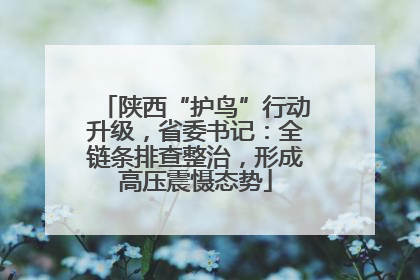 陕西“护鸟”行动升级，省委书记：全链条排查整治，形成高压震慑态势