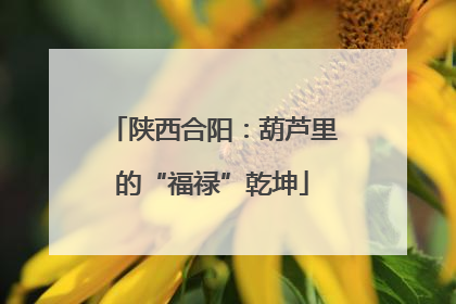 陕西合阳：葫芦里的“福禄”乾坤
