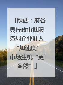 陕西：府谷县行政审批服务局企业准入“加速度” 市场生机“更盎然”