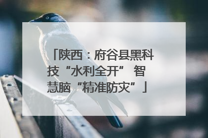 陕西：府谷县黑科技“水利全开” 智慧脑“精准防灾”