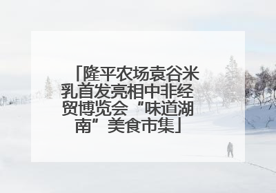 隆平农场袁谷米乳首发亮相中非经贸博览会“味道湖南”美食市集