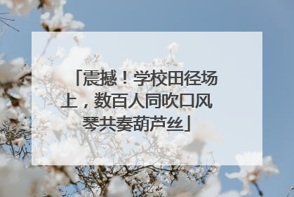 震撼！学校田径场上，数百人同吹口风琴共奏葫芦丝
