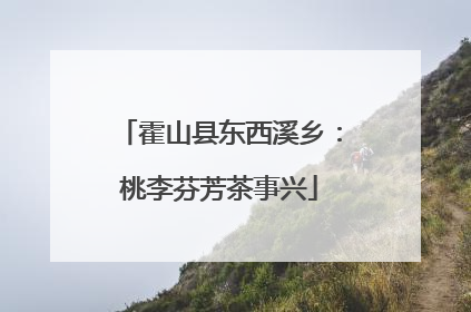 霍山县东西溪乡：桃李芬芳茶事兴