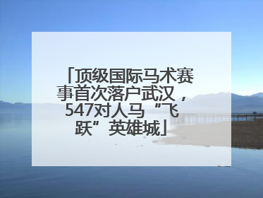 顶级国际马术赛事首次落户武汉，547对人马“飞跃”英雄城