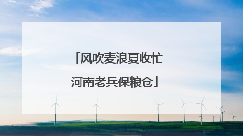 风吹麦浪夏收忙 河南老兵保粮仓