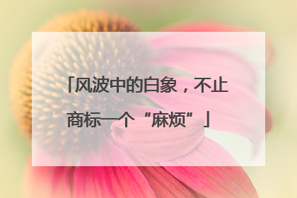风波中的白象，不止商标一个“麻烦”