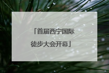 首届西宁国际徒步大会开幕