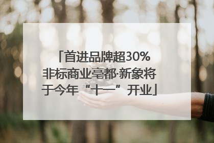 首进品牌超30% 非标商业亳都·新象将于今年“十一”开业