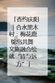 香约庆阳｜合水黑木村：梅花鹿鸵鸟共舞 文旅融合绘就“诗与远方”