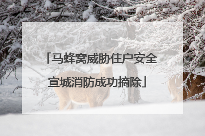 马蜂窝威胁住户安全 宣城消防成功摘除