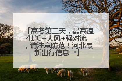 高考第三天，最高温41℃+大风+强对流，请注意防范！河北最新出行信息→