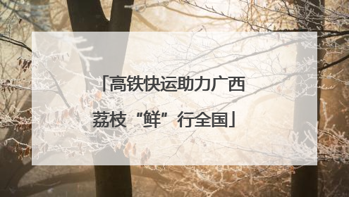 高铁快运助力广西荔枝“鲜”行全国