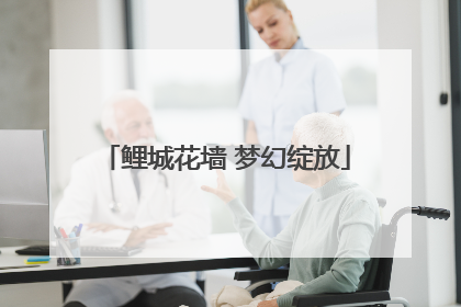 鲤城花墙 梦幻绽放