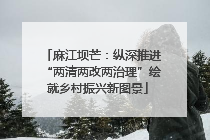 麻江坝芒：纵深推进“两清两改两治理”绘就乡村振兴新图景
