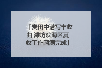 麦田中谱写丰收曲 潍坊滨海区夏收工作圆满完成