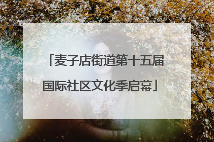 麦子店街道第十五届国际社区文化季启幕