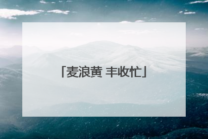 麦浪黄 丰收忙