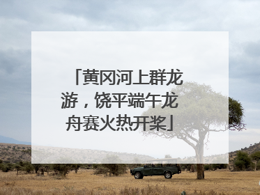 黄冈河上群龙游，饶平端午龙舟赛火热开桨