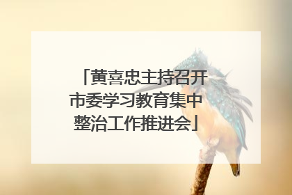 黄喜忠主持召开市委学习教育集中整治工作推进会