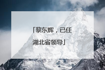 黎东辉，已任湖北省领导