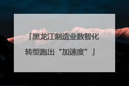 黑龙江制造业数智化转型跑出“加速度”