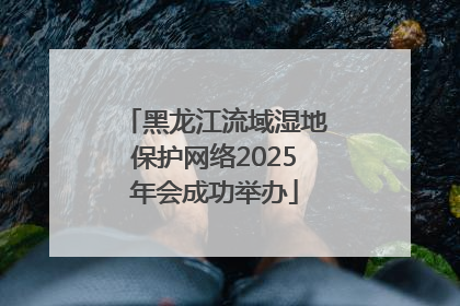 黑龙江流域湿地保护网络2025年会成功举办