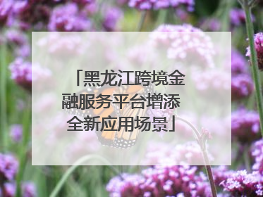 黑龙江跨境金融服务平台增添全新应用场景
