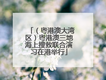 （粤港澳大湾区）粤港澳三地海上搜救联合演习在港举行