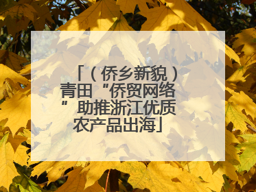 （侨乡新貌）青田“侨贸网络”助推浙江优质农产品出海