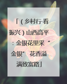 （乡村行·看振兴）山西高平：金银花里采“金银” 花香溢满致富路
