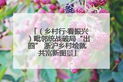 （乡村行·看振兴）毗邻统战破局“出圈” 浙沪乡村绘就共富新图景