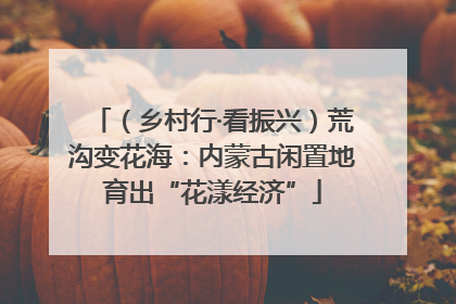 （乡村行·看振兴）荒沟变花海：内蒙古闲置地育出“花漾经济”