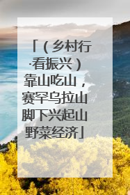 （乡村行·看振兴）靠山吃山，赛罕乌拉山脚下兴起山野菜经济