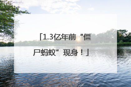 1.3亿年前“僵尸蚂蚁”现身！