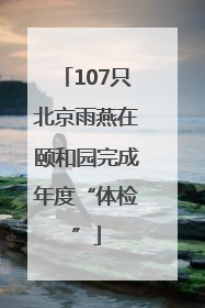 107只北京雨燕在颐和园完成年度“体检”