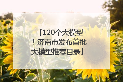 120个大模型！济南市发布首批大模型推荐目录