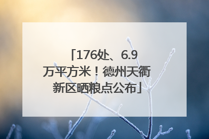 176处、6.9万平方米！德州天衢新区晒粮点公布