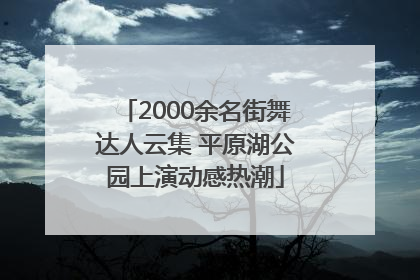 2000余名街舞达人云集 平原湖公园上演动感热潮