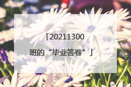 20211300班的“毕业答卷”