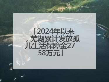 2024年以来，芜湖累计发放孤儿生活保障金2758万元