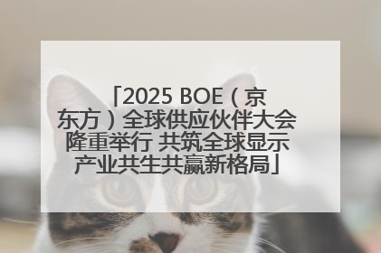 2025 BOE（京东方）全球供应伙伴大会隆重举行 共筑全球显示产业共生共赢新格局