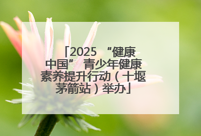 2025 “健康中国” 青少年健康素养提升行动（十堰茅箭站）举办