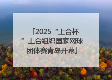2025“上合杯”上合组织国家网球团体赛青岛开幕