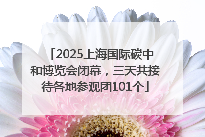 2025上海国际碳中和博览会闭幕，三天共接待各地参观团101个