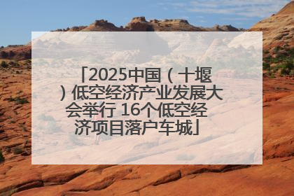 2025中国（十堰）低空经济产业发展大会举行 16个低空经济项目落户车城