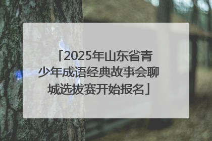 2025年山东省青少年成语经典故事会聊城选拔赛开始报名
