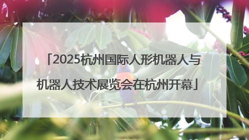 2025杭州国际人形机器人与机器人技术展览会在杭州开幕