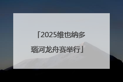 2025维也纳多瑙河龙舟赛举行